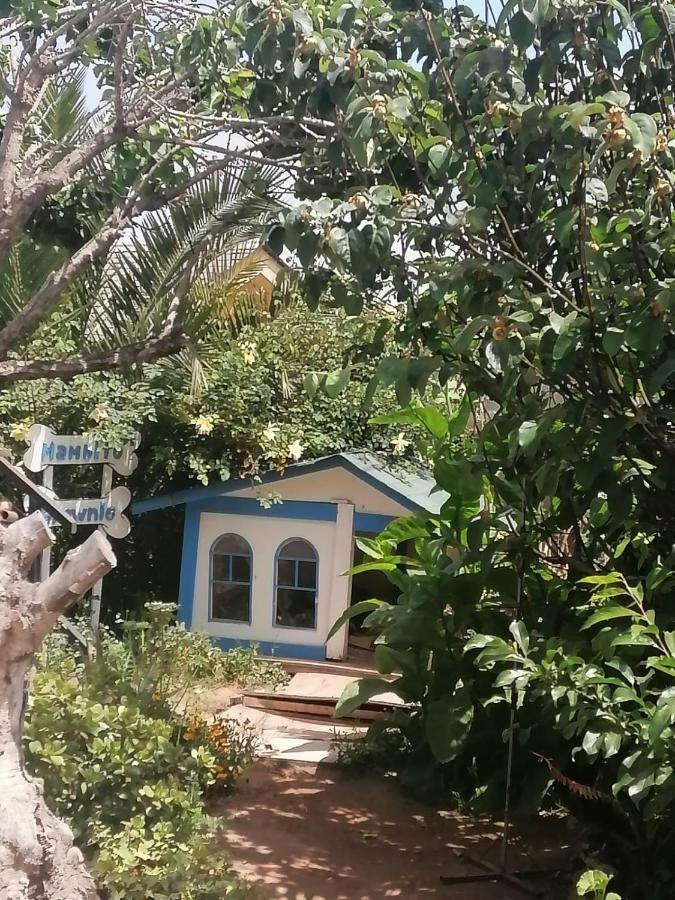 Tu Jardin Secreto Apartman La Serena Kültér fotó